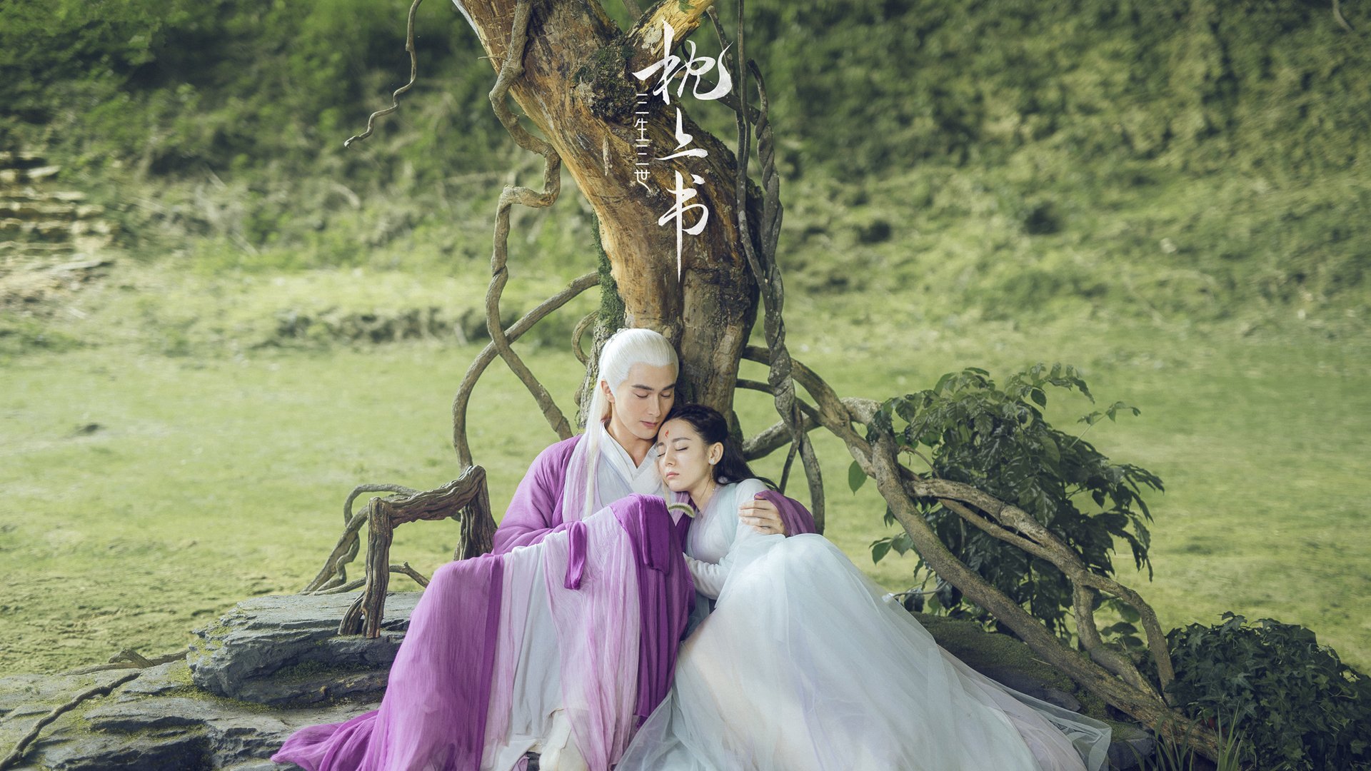 中美200蝶出发反应时间差异缩小