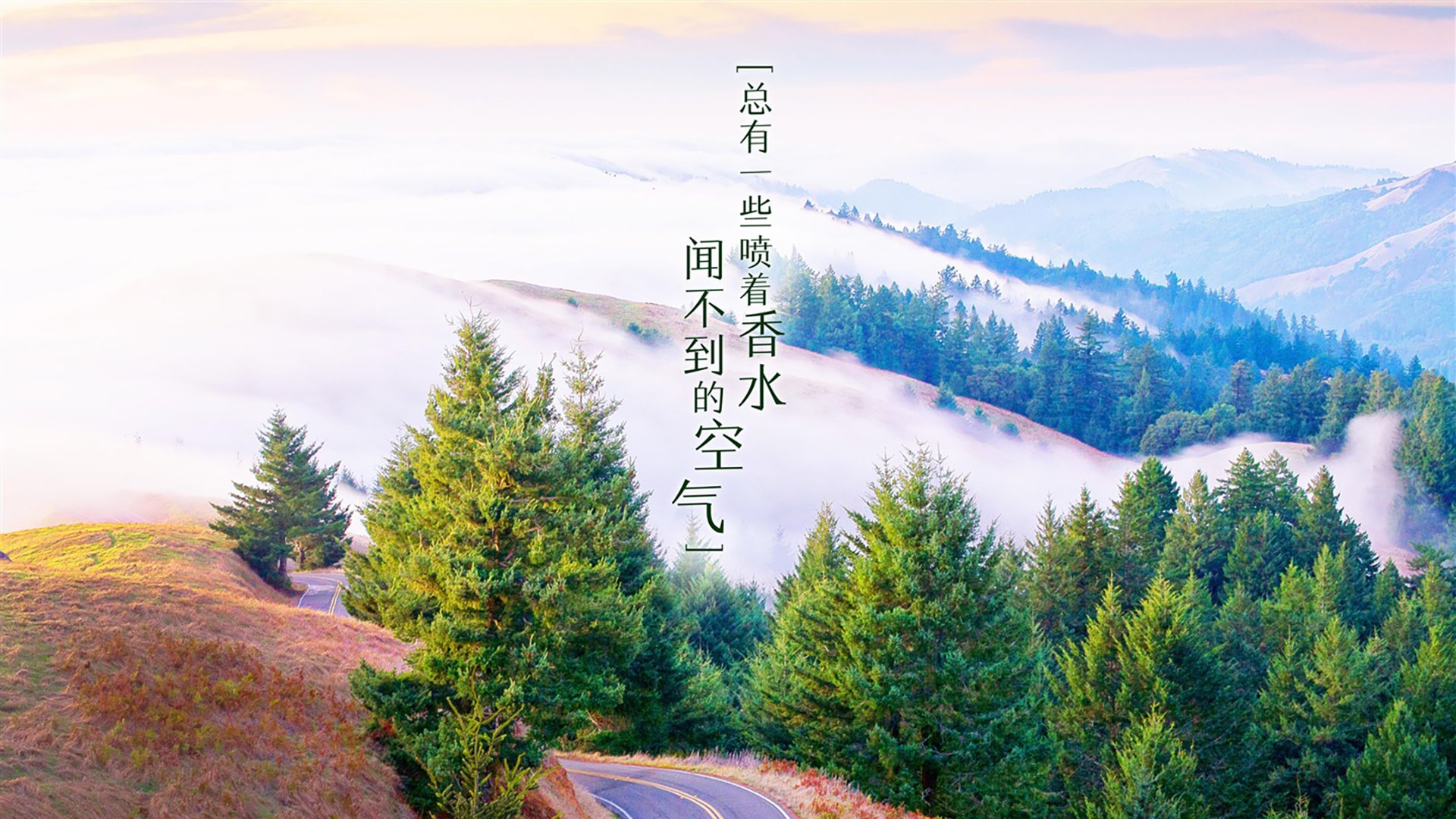 职业俱乐部缺少可持续发展战略，职业俱乐部成功案例