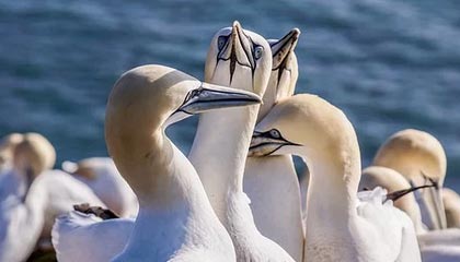 开云官方网站-青训机构建立家校合作机制强化学生自律管理，建立健全家校合作机制