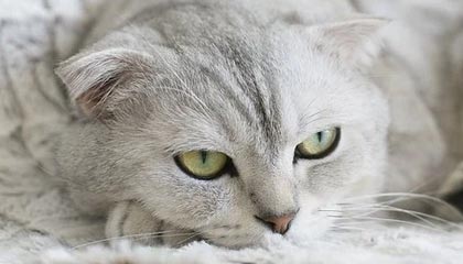 开云官方网站-青训机构建立家校合作机制强化学生自律管理，建立健全家校合作机制