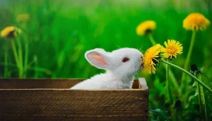 开云官方网站-青训机构建立家校合作机制强化学生自律管理，建立健全家校合作机制