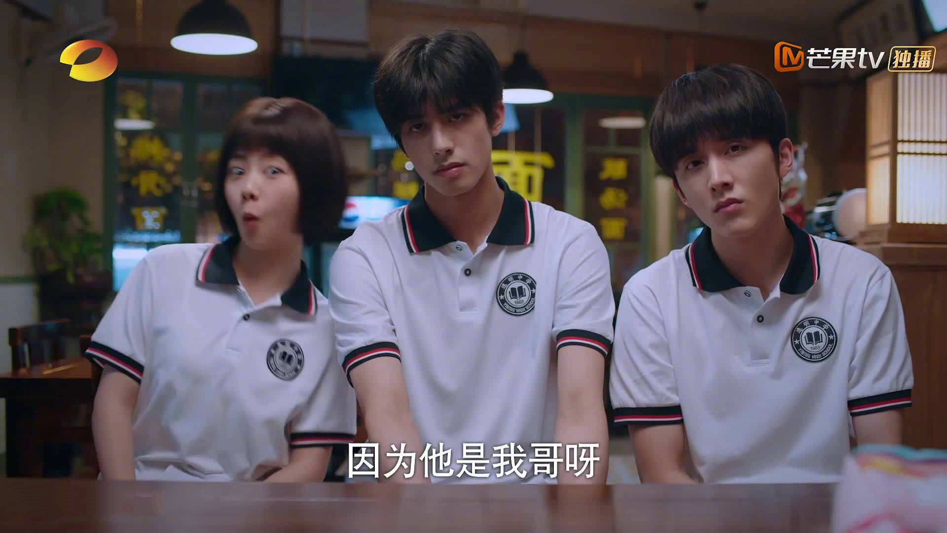 _马术表演盛典：优雅与力量的魅力展示_，马术表演完整视频在线观看