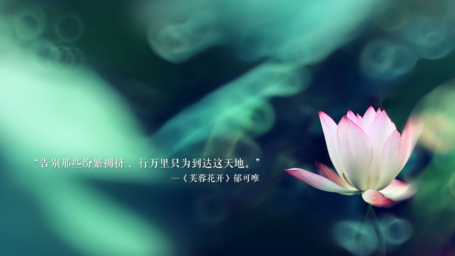 全国排球联赛明星赛，璀璨群星点亮赛场，全国排球联赛时间