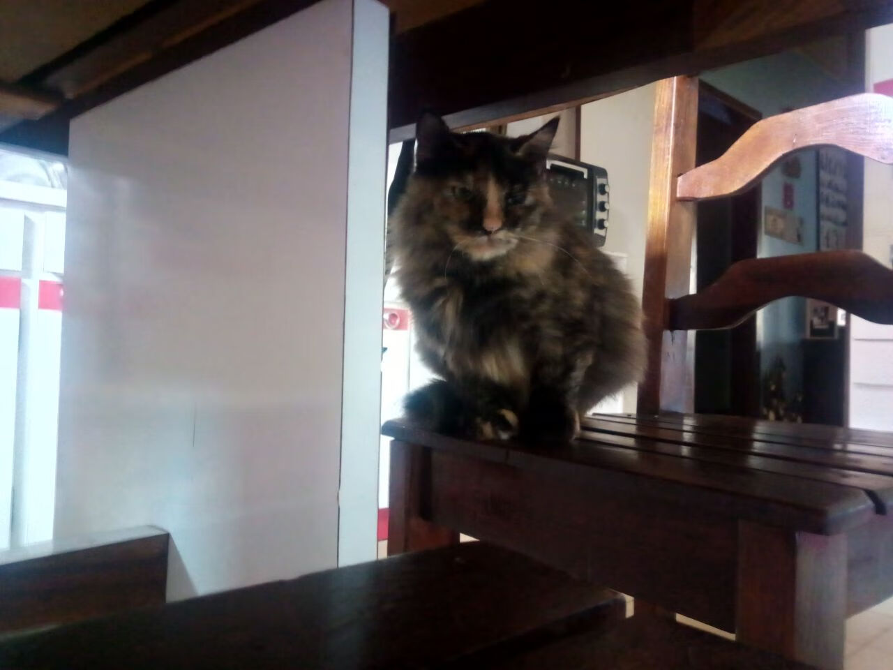 Kaiyun APP-皮特·卡普尔的爆发力和技巧为袋鼠队创造了更多反击机会，卡尔皮纳袋鼠