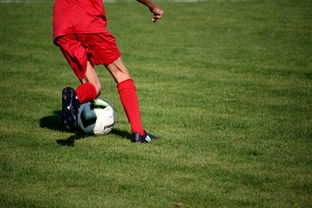 开云体育APP下载-职业俱乐部推动退役球员培训转型教练岗位，职业选手退役当教练