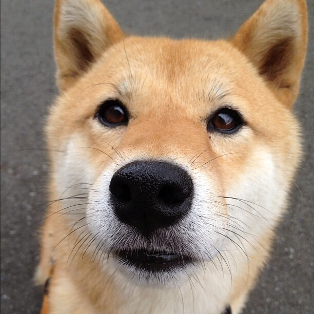 英超冠军之路：悬念到最后一刻！，0506英超冠军